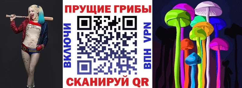 Галлюциногенные грибы мицелий  Купить  Еманжелинск 